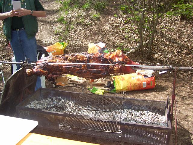 Steinkuhle 2008 (9).JPG